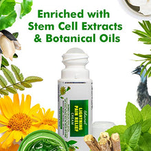 Load image into Gallery viewer, Ebanel Pain Relief Roll On, 3.56 Oz Arnica Menthol Arthritis Pain Relief Muscle Rub with MSM, Emu Oil, Hemp Oil, Anti Inflammatory Cream with Camphor, Boswellia for Back Pain, Neck Shoulder Joint Pain
