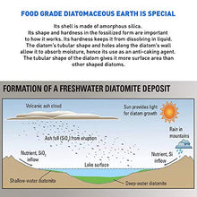 Load image into Gallery viewer, EasyGoProducts Diatomaceous Earth - 100% Natural Food Grade - DE Fresh Water – 10.5 Pounds
