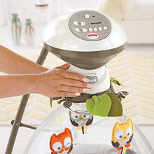 Load image into Gallery viewer, Fisher-Price My Little Snugabear Cradle 'n Swing
