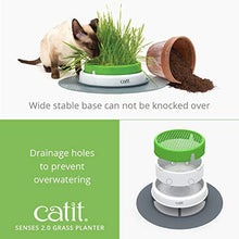 Load image into Gallery viewer, Catit Senses 2.0 Cat Grass Planter, Interactive Cat Toys

