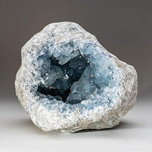 Load image into Gallery viewer, Astro Gallery of Gems Blue Celestite Cluster Geode from Sankoany, Ketsepy Mahajanga, Madagascar (27.6 lbs) - BC79
