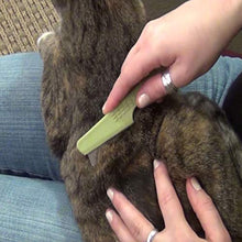 Load image into Gallery viewer, Safari Pet Products Flea Comb for Cats, Flea and Tick Prevention for Cats, Cat Flea Treatment, Flea Prevention
