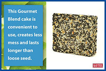 Load image into Gallery viewer, Kaytee Wild Bird Gourmet Seed Cake For Cardinals, Chickadees, Juncos, Titmice, Woodpeckers and More, 2 Pounds
