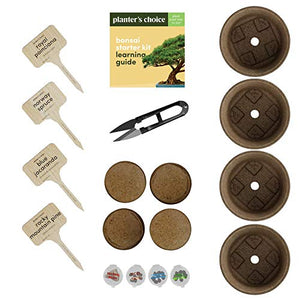 Bonsai Starter Kit - The Complete Growing Kit to Easily Grow 4 Bonsai Trees from Seed + Comprehensive Guide & Bamboo Plant Markers - Unusual Gardening Gifts Ideas for Women - Indoor Bonzai Tree Seeds
