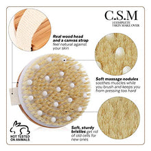 Load image into Gallery viewer, CSM Body Brush For Beautiful Skin - Solid Wood Frame &amp; Boar Hair Exfoliating Brush To Exfoliate &amp; Soften Skin, Improve Circulation, Stop Ingrown Hairs, Reduce Acne and Cellulite
