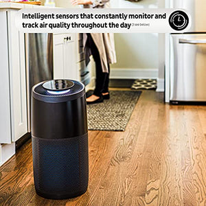 Instant Air Purifier, Helps remove 99.9% of viruses (COVID-19), bacteria, allergens, smoke; advanced 3-in-1 HEPA-13 filtration with plasma ion technology, Large Room (AP300), Charcoal
