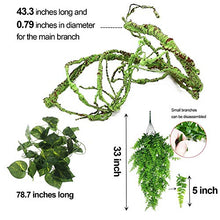 Load image into Gallery viewer, kathson Reptile Vines Plants Flexible Bendable Jungle Climbing Vine Terrarium Plastic Plant Leaves Pet Tank Habitat Decor for Bearded Dragons Lizards Geckos Snakes Hermit Crab Frogs and More Reptiles
