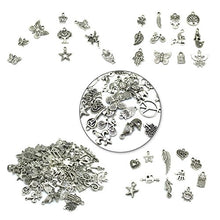 Load image into Gallery viewer, Wholesale Bulk Lots Jewelry Making Silver Charms Mixed Smooth Tibetan Silver Metal Charms Pendants DIY for Necklace Bracelet Jewelry Making and Crafting, JIALEEY 100 PCS
