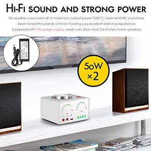 Bluetooth 5.0 Power Amplifier 2 Channel Stereo Mini Hi-Fi Integrated Amp 2.0 Wireless Audio Receiver for Home Speakers Headphone 50W x 2 with USB (Nobsound Tone, Silver)