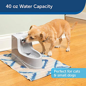 PetSafe Drinkwell Mini Pet Fountain for Cats and Small Dogs – Filtered Water – Filter Included, PWW00-14402