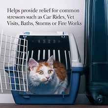 Load image into Gallery viewer, Nutri-Vet Pet-Ease Calming Paw Gel for Cats | Support for Cat Anxiety and Stress | Tasty &amp; Easy to Give | 3 Ounce Tube, Salmon
