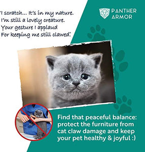 Panther Armor Cat Scratch Deterrent Tape – 8(Eight)-Pack – Double Sided Anti Cats Scratching Sticky Tape – 4-Pack XL 16”L 12”W + 4-Pack Large 17”L 10”W Furniture Protectors – Clear Training Tape