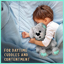 Load image into Gallery viewer, Cute Stuffed Dog with Puppy Superpowers – Glow in Dark Patches for Sweet Dreams &amp; Bedtime Comfort – Perfect Puppy Stuffed Animal Teddy Bear Toy for Boys, Girls – Plush 14 inches (no Batteries Needed)
