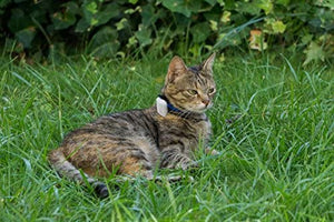 Cat Tracker RF Finder Longest Range up to 1600 ft lightest pet Safety Tracking Device only 0.28oz Small Pets Dog Girafus Pro-Track-tor Pet Tracker