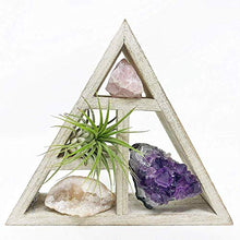 Load image into Gallery viewer, Tillandsia Air Plant and Purple Amethyst Crystal Healing Cluster/Terrarium Fairy Garden Stone + Kraft Gift Box
