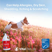 Load image into Gallery viewer, Fish Oil for Dogs, Salmon, Pollock, Omega 3 EPA DHA Liquid Food Supplement for Pets, All Natural, Supports Healthy Skin Coat &amp; Joints, Natural Allergy &amp; Inflammation Defense, 64 oz
