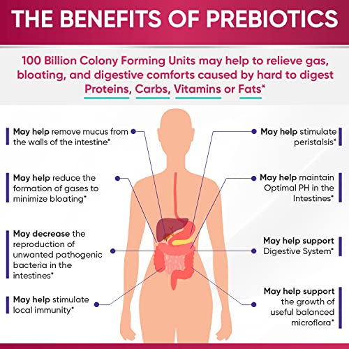 Load image into Gallery viewer, Dr. Formulated Raw Probiotics for Women 100 Billion CFUs with Prebiotics, Digestive Enzymes, Approved Women's Probiotic for Adults, Shelf Stable Probiotic Supplement Capsules