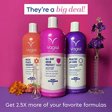 Load image into Gallery viewer, Vagisil Healthy pH Care Daily Intimate Feminine Wash for Women, Gynecologist Tested &amp; Hypoallergenic, 34 Fl Oz (1L)
