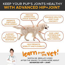 Load image into Gallery viewer, PetHonesty 10 in 1 Multivitamin + Advanced Hip + Joint Soft Chew Supplement Bundle - Dog Vitamins - Glucosamine Chondroitin, Omegas, Turmeric and MSM for Overall Dog Health, Joint Supplement for Dogs
