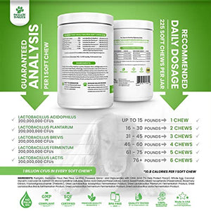 Doggie Dailies Probiotics for Dogs, 225 Soft Chews, Advanced Dog Probiotics with Prebiotics, Promotes Digestive Health, Supports Immune System and Overall Health (Pumpkin)