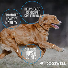 Load image into Gallery viewer, DOGSWELL Hip and Joint Supplement for Dogs - Soft Chews with Glucosamine, Chondroitin, MSM, Boswellia &amp; Turmeric, 1 Pound
