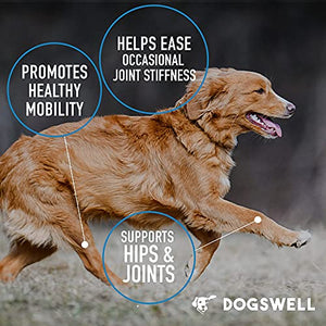 DOGSWELL Hip and Joint Supplement for Dogs - Soft Chews with Glucosamine, Chondroitin, MSM, Boswellia & Turmeric, 1 Pound