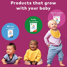 Load image into Gallery viewer, SpoonfulONE Food Allergen Introduction Mix-Ins | Smart Feeding for an Infant or Baby 4+ Months | Certified Organic (30 Day Supply)
