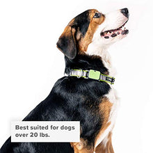 Load image into Gallery viewer, Whistle GO/GO Explore/Twist &amp; Go Pet Collars/See Me Green/Large-XL
