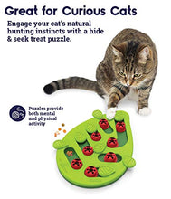 Load image into Gallery viewer, Nina Ottosson by Petstages Buggin' Out Puzzle &amp; Play - Interactive Cat Treat Puzzle
