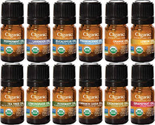 Load image into Gallery viewer, Cliganic USDA Organic Aromatherapy TOP 12 Essential Oils Set, 100% Pure - Peppermint, Lavender, Eucalyptus, Tea Tree, Lemongrass, Rosemary, Frankincense, Orange, Lemon, Cassia, Cedarwood &amp; Grapefruit
