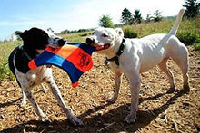 Load image into Gallery viewer, ChuckIt! Flying Squirrel Spinning Dog Toy, (Orange/Blue), Multicolor, Medium (10 in x 10 in) (0511300)
