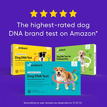 Load image into Gallery viewer, Embark | Dog DNA Test | Breed &amp; Health Kit | Breed Identification &amp; Canine Genetic Health Screening
