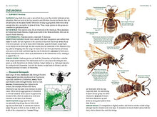 Load image into Gallery viewer, Common Bees of Eastern North America (Princeton Field Guides, 123)
