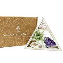 Load image into Gallery viewer, people crystals Mini Crystal + Air Plant Gift Set/Includes a 4.75” Mini Display Shelf, Tillandsia Air Plant, Purple Amethyst Cluster, Raw Rose Quartz, and Clear Quartz Point, Home décor Accent.
