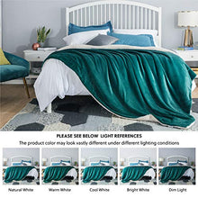 Load image into Gallery viewer, Bedsure Sherpa Fleece Blanket Queen Size Emerald Green Hunter Green Plush Blanket Fuzzy Soft Blanket Microfiber
