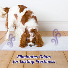 Load image into Gallery viewer, Hartz Home Protection Odor Eliminating Scented Dog Pads, Super Absorbent &amp; Won’t Leak, Lavender Scent, 3XL Size Pads, 60 Count
