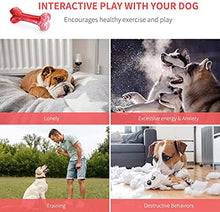 Load image into Gallery viewer, Dog Chew Toys for Aggressive Chewers, Durable Rubber Dog Bones Chew Toys, Interactive Tough Dog Toys for Large Medium Small Dog, Indestructible Dog Toy for Cleaning Teeth and Training (Medium)
