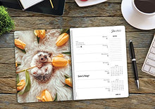 Load image into Gallery viewer, Herbee the Hedgehog 2022 Engagement Calendar, Spiral Planner
