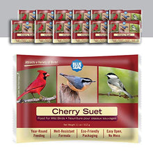 Load image into Gallery viewer, Blue Seal Cherry Bird Suet Cake | No Mess Wild Bird Suet | 11 oz (12 Pack)
