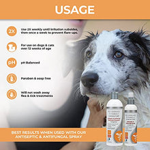 Load image into Gallery viewer, Veterinary Formula Clinical Care Antiseptic and Antifungal Shampoo for Dogs and Cats, 16 oz – Medicated Shampoo to Relieve, Heal and Soothe Fungal and Bacterial Skin Infections, White (FG01320)
