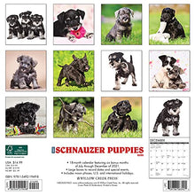 Load image into Gallery viewer, Just Schnauzer Puppies 2022 Wall Calendar (Dog Breed)
