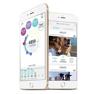 FitBark 2 Dog Activity Monitor | Health & Fitness Tracker for Dogs | Waterproof, Small & Leightweight (10 g) | Not a GPS Tracker