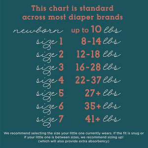 Earth & Eden Baby Diapers, Newborn, 108 Count