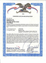 Load image into Gallery viewer, Pronexa Topical Hair Loss Serum by Hairgenics Stops Hair Loss and Accelerates Hair Growth and Hair Regrowth in Balding and Thinning Areas. 1 FL OZ.
