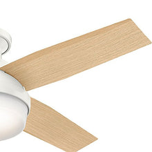 Load image into Gallery viewer, Hunter Dempsey Indoor Low Profile Ceiling Fan with LED Light and Remote Control, 44&quot;, White
