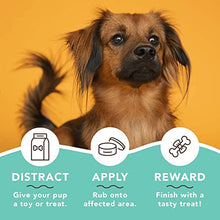 Load image into Gallery viewer, Natural Dog Company Skin Soother Bundle, Includes 2oz Tin + 0.15oz Stick, All Natural Healing Balm for Dogs, Relieves Dry, Itchy Skin, Treats Skin Irritations, Wounds, Hot Spots, Dermatitis
