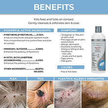 Load image into Gallery viewer, Veterinary Formula Flea and Tick Shampoo for Dogs and Cats, 16 oz – Dog and Cat Flea Shampoo with Pyrethrum to Kill Fleas, Ticks On Contact – Cleanses and Exfoliates
