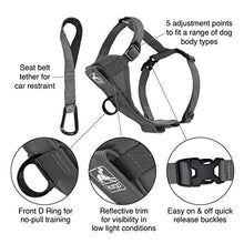 Load image into Gallery viewer, Kurgo Dog Harness | Pet Walking Harness | No Pull Harness Front Clip Feature for Training Included | Car Seat Belt | Tru-Fit Quick Release Style | Large | Grey

