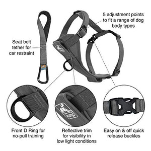 Kurgo Dog Harness | Pet Walking Harness | No Pull Harness Front Clip Feature for Training Included | Car Seat Belt | Tru-Fit Quick Release Style | Large | Grey