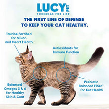 Load image into Gallery viewer, Lucy Pet Products Formulas for Life - Sensitive Stomach &amp; Skin Dry Cat Food, All Breeds &amp; Life Stages - Salmon, Pumpkin, &amp; Quinoa, 4 LB Bag
